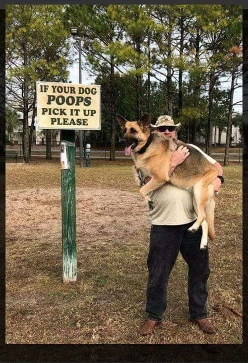if dog poops (1) (1).jpg